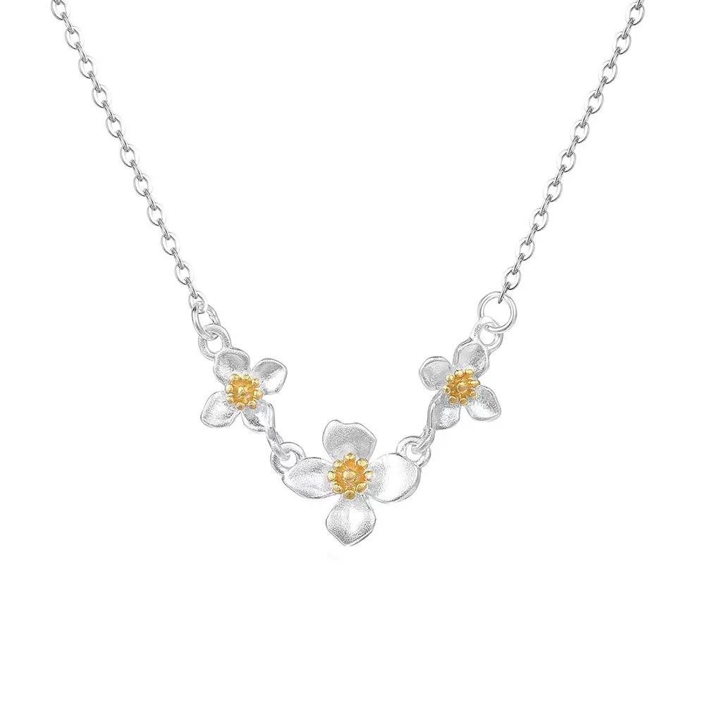 5c5c7d64-e863-4c33-88ca-82afbd610165-1